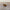 Articulated Mini Guinea Pig Toy – Cute 3D Printed Fidget Figurine Gift