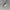 Mini Skeleton Astronaut – 3D Printed Spooky Space Figurine, Creepy Sci-Fi Decor