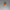 Glow in the Dark Pumpkin Keychain with Googly Eyes – Cute Halloween Accessory