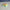 Mini Rainbow Starfish – 3D Printed Ocean Creature Figurine
