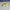 Mini Rainbow Starfish – 3D Printed Ocean Creature Figurine