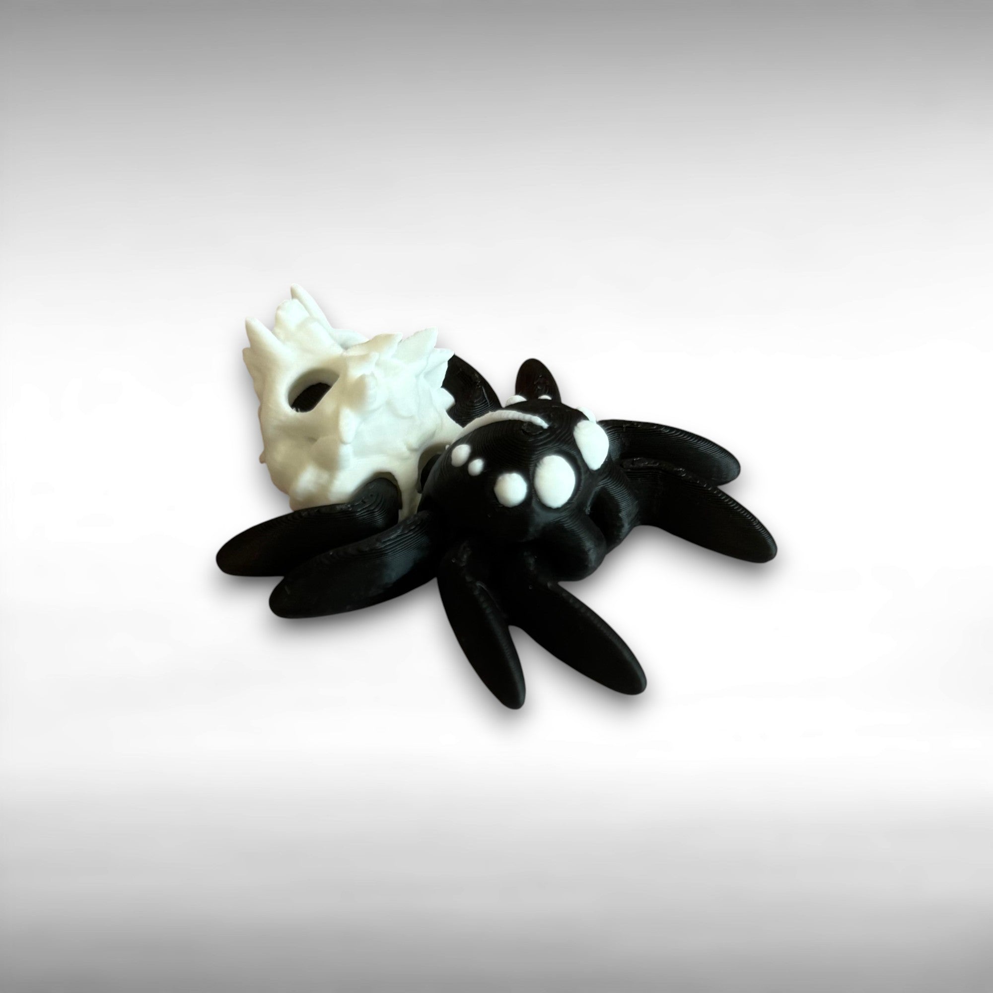 Black and white 3d printed spider featuring a skull on the backside on a light gray background