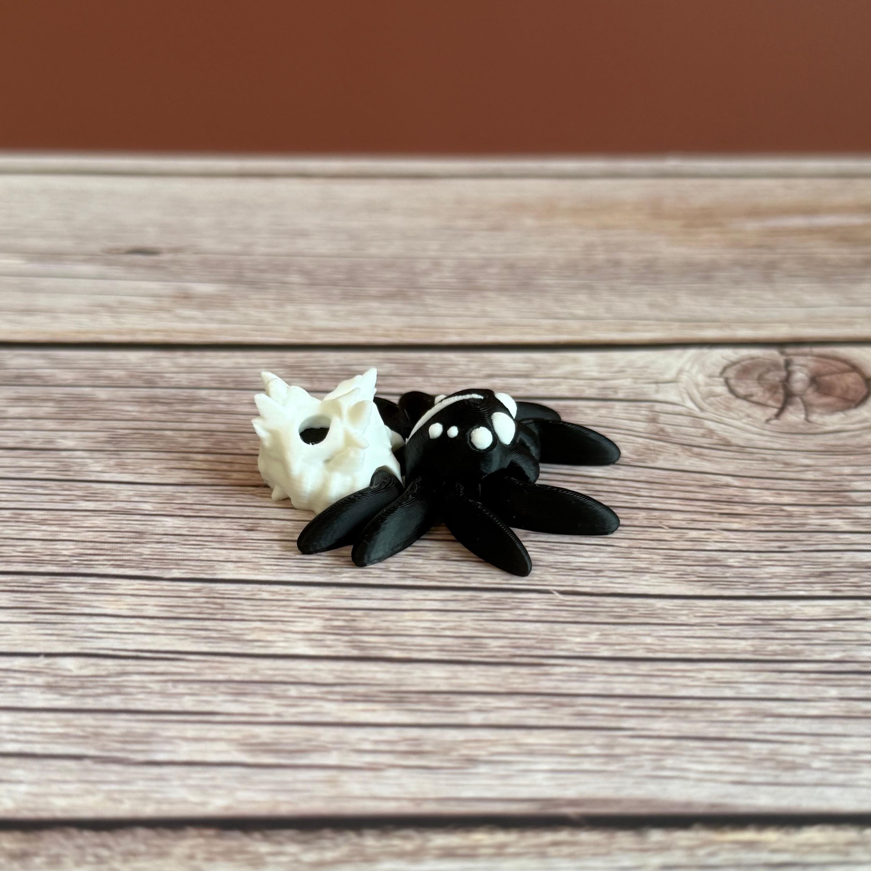 Black and white 3d printed spider featuring a skull on the backside, placed on a wooden surface against a brown backdrop