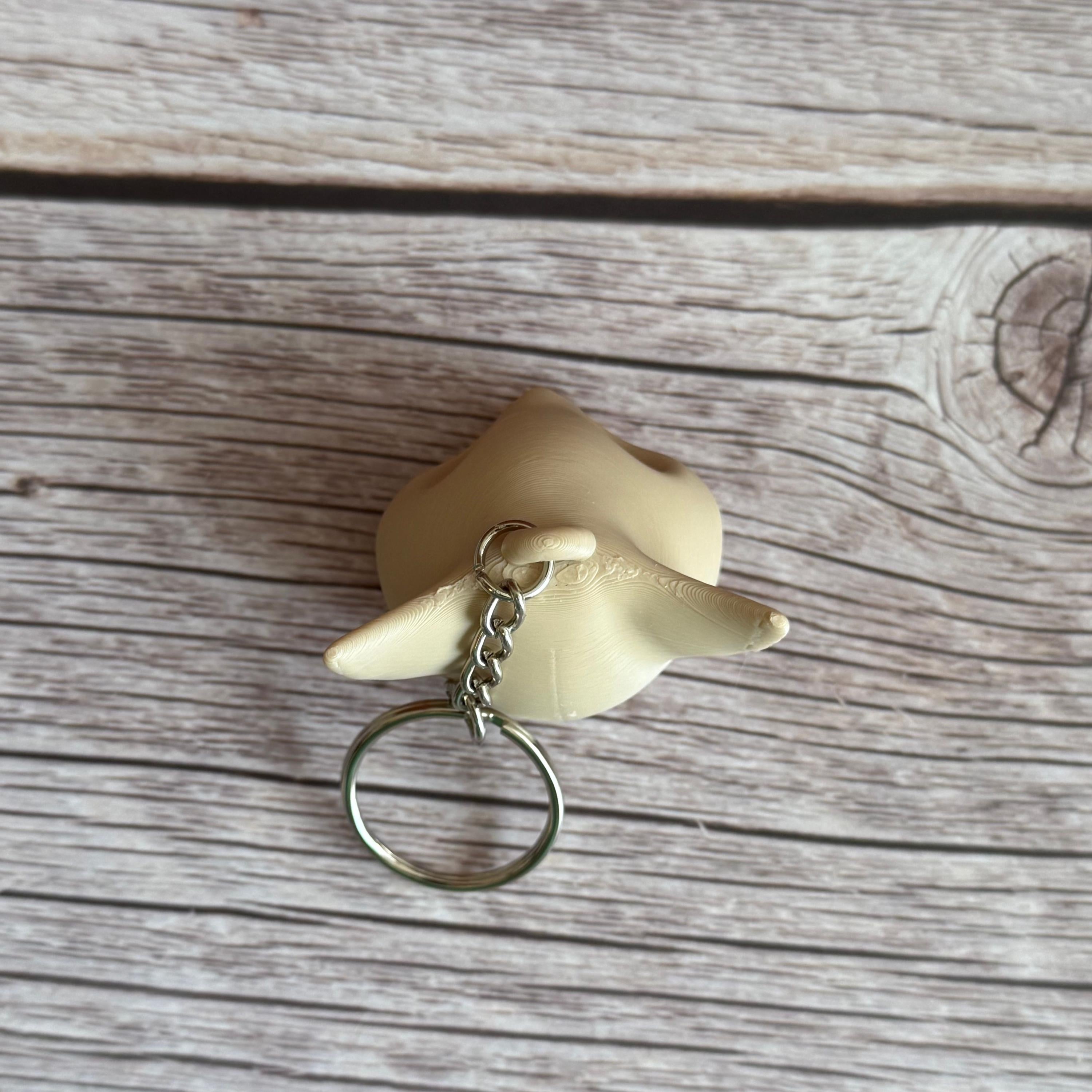 Top of a 3D printed beige cat skull keychain on a wooden surface