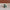 Mini 3D Printed Quackodile – Articulated Duck Crocodile Hybrid Toy Figure