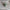 Mini 3D Printed Quackodile – Articulated Duck Crocodile Hybrid Toy Figure