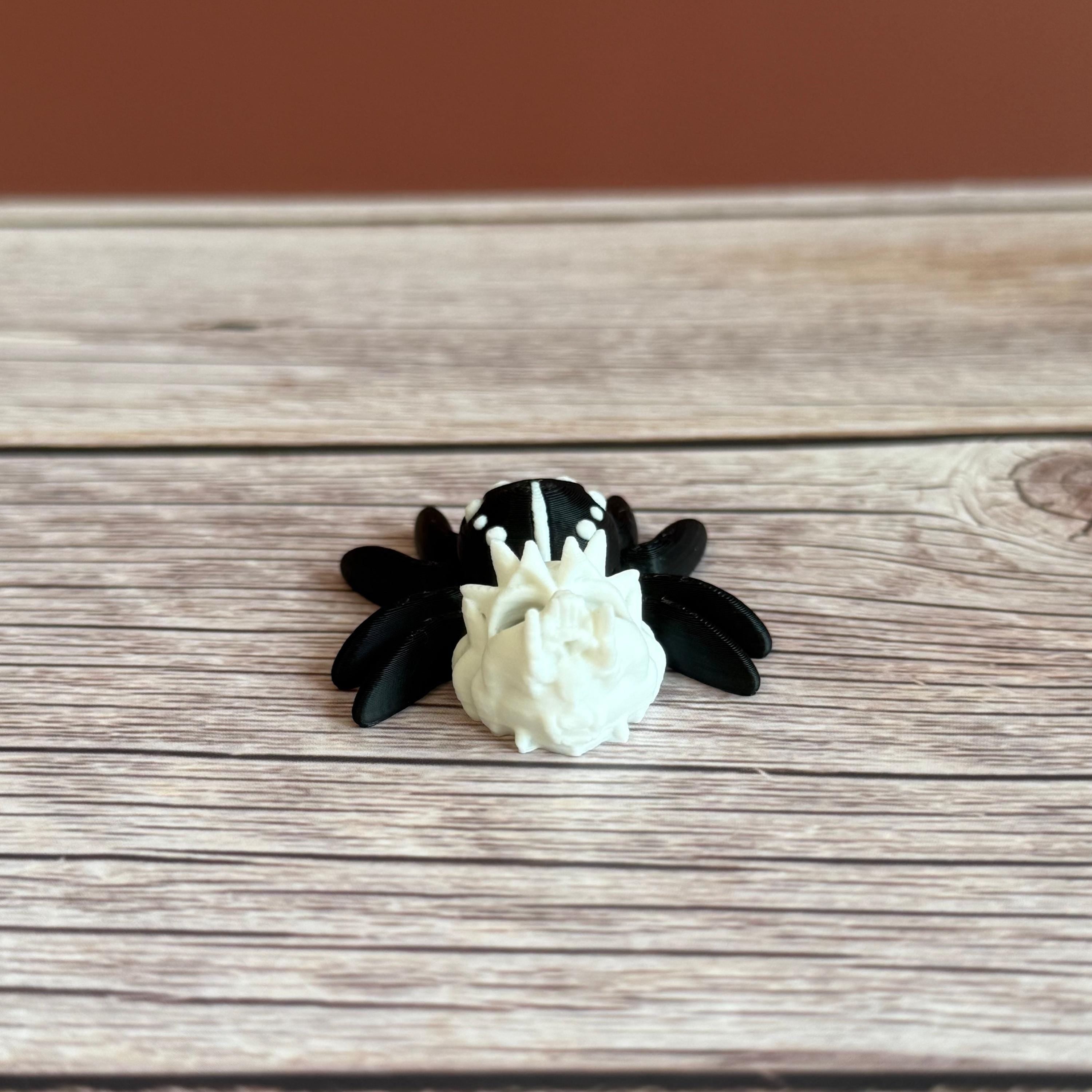 Black and white 3d printed spider featuring a skull on the backside, placed on a wooden surface against a brown backdrop