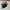 Articulated 3D Printed Bat – Poseable Halloween Bat Toy or Spooky Decor