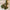 27.5in Articulated Bamboo Dragon – 3D Printed Posable Nature Dragon Toy