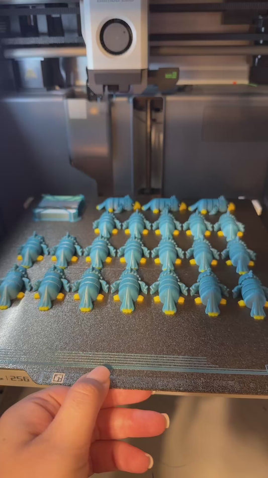 Articulated Mini Parrot Toy – 3D Printed Colorful Fidget Bird Gift