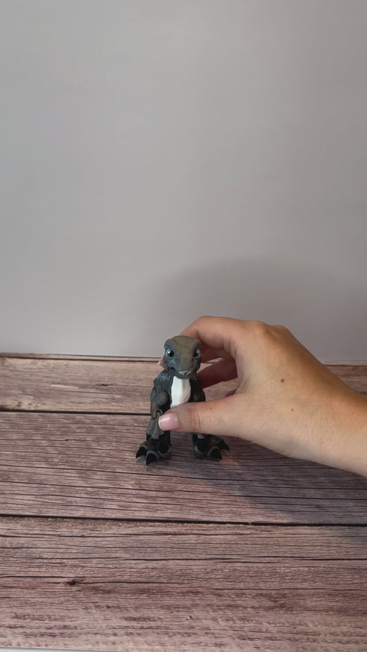 Articulated Raptor 3D Printed Toy – Movable Dinosaur Figure, Jurassic Decor, Fidget Desk Toy, Unique Dino Gift for Kids & Collectors